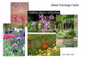 Chelsea flower show *